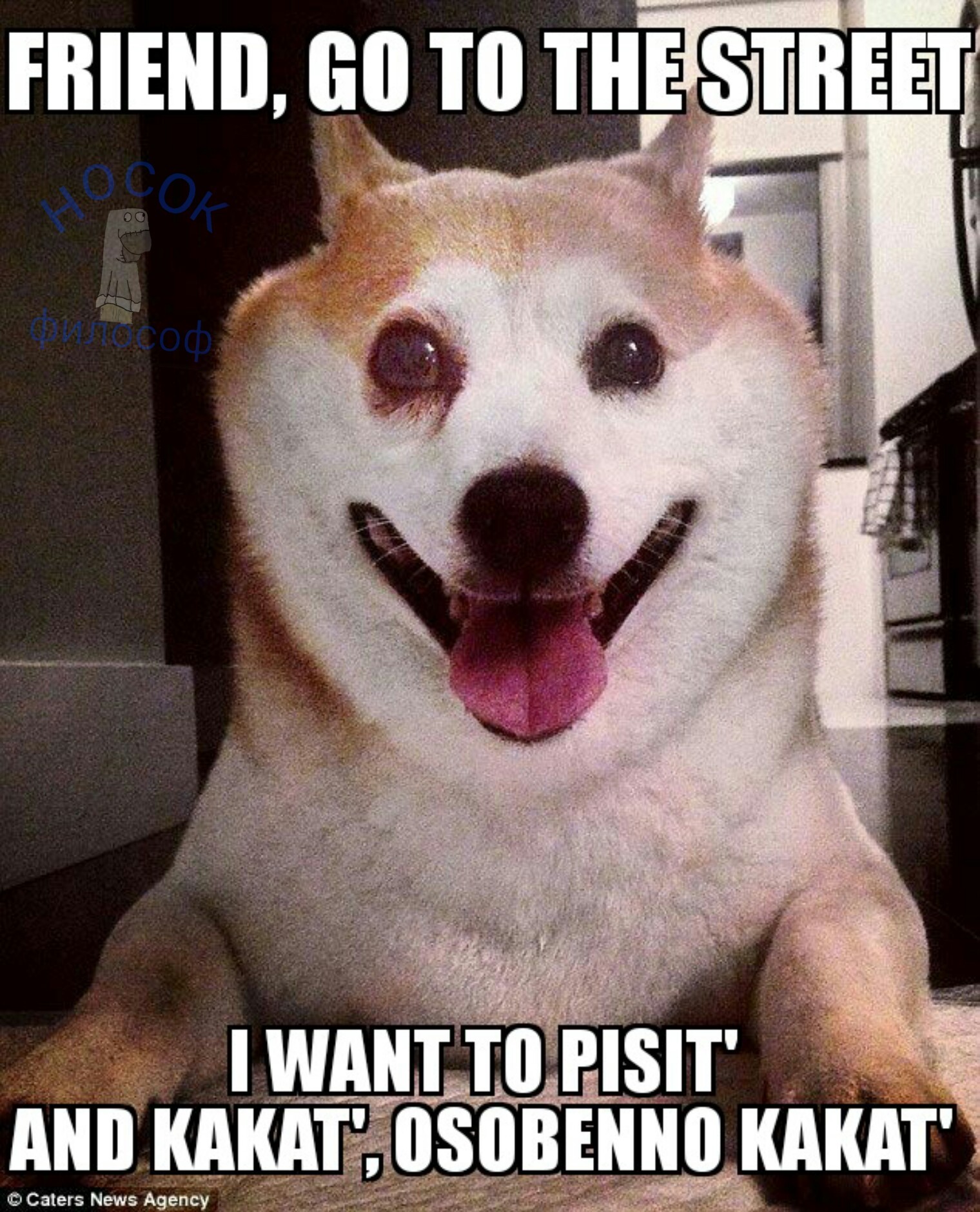 Hey friend! - My, Dog, Memes, 