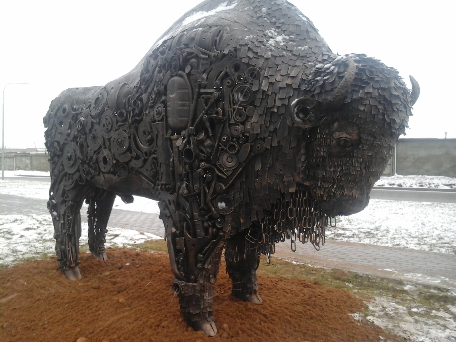 Belarusian bison - My, Forging, Blacksmith, Bison, Republic of Belarus, Photo, Longpost