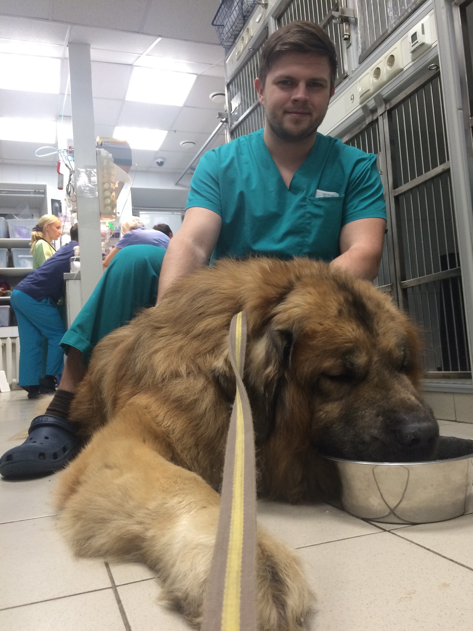 Friday Bear - My, Vet, Dog, Work, Dog