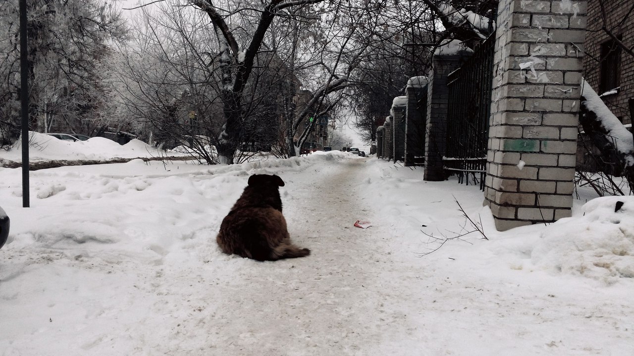 Декадансно | Пикабу