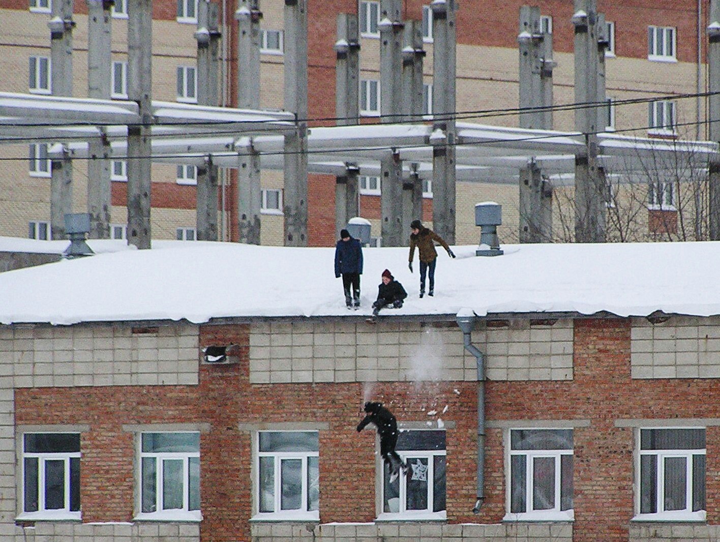 Гуляйте чаще пацаны ! | Пикабу