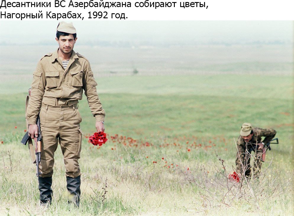 Dear warriors. - Azerbaijan, Drugs, Nagorno-Karabakh, Flowers, In contact with