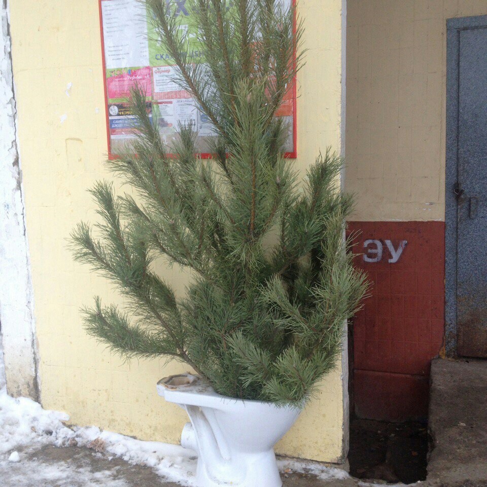 Типичный Белгород. | Пикабу