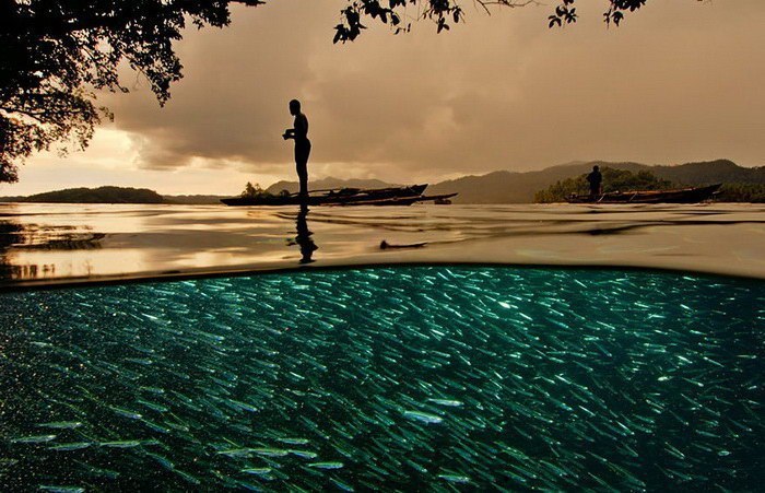 On the edge of two worlds - Peace, Under the water, A fish, Longpost