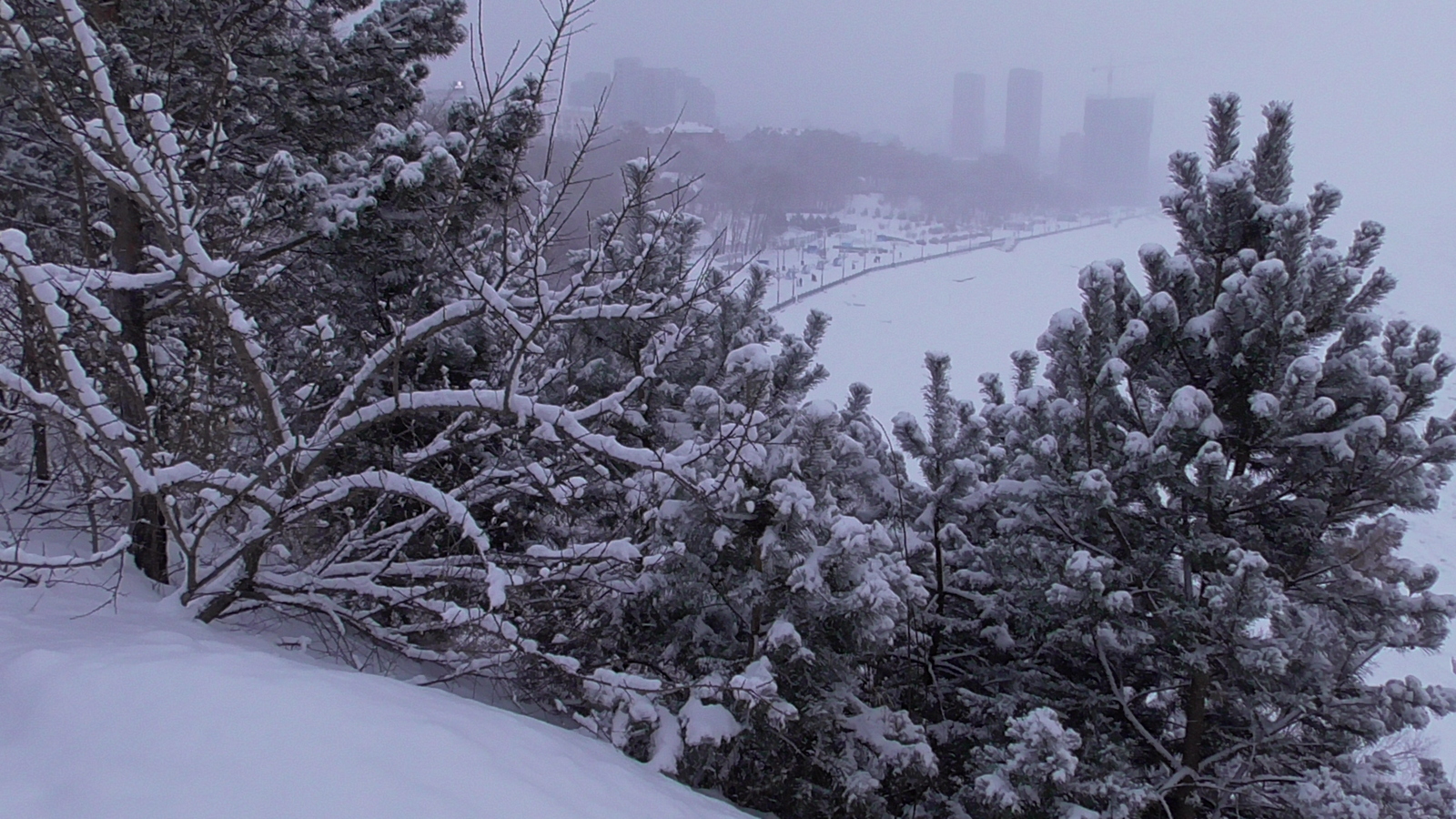 Winter's tale - My, Snow, Khabarovsk, Story, Winter, beauty