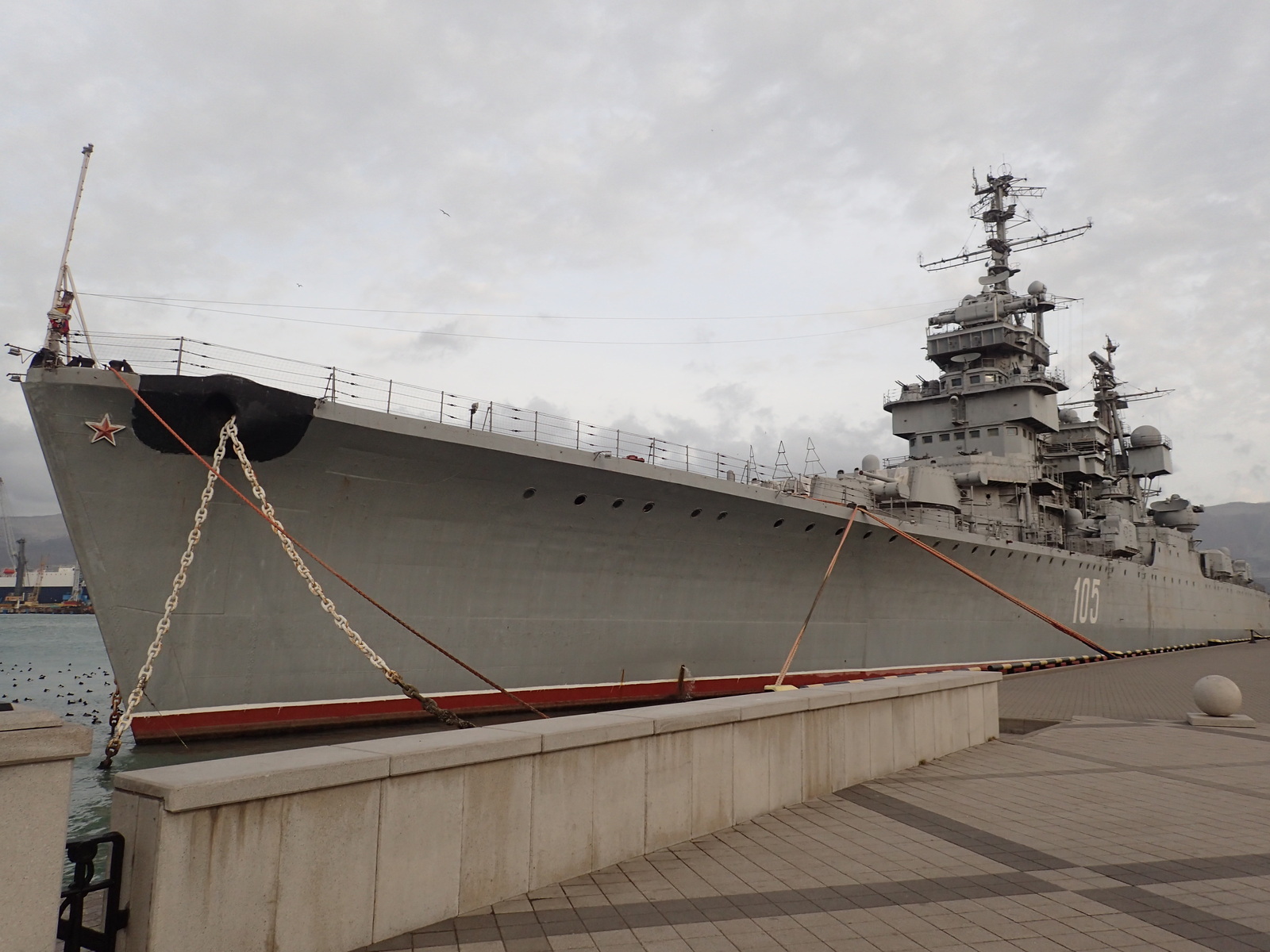 A bit of January Novorossiysk - My, Novorossiysk, January, Sea, Birds, Ship, Russia, Longpost