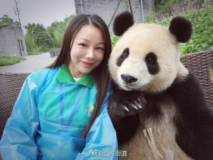 Selfie with panda - Selfie, Panda, Photo, Images, Interesting, Animals, Longpost