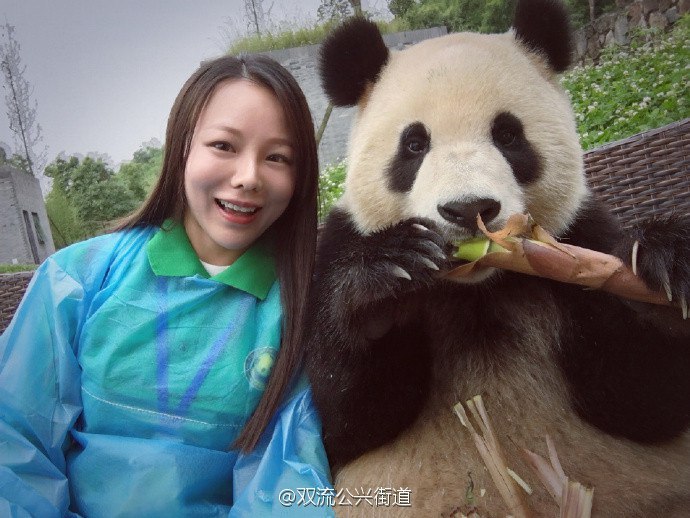 Selfie with panda - Selfie, Panda, Photo, Images, Interesting, Animals, Longpost