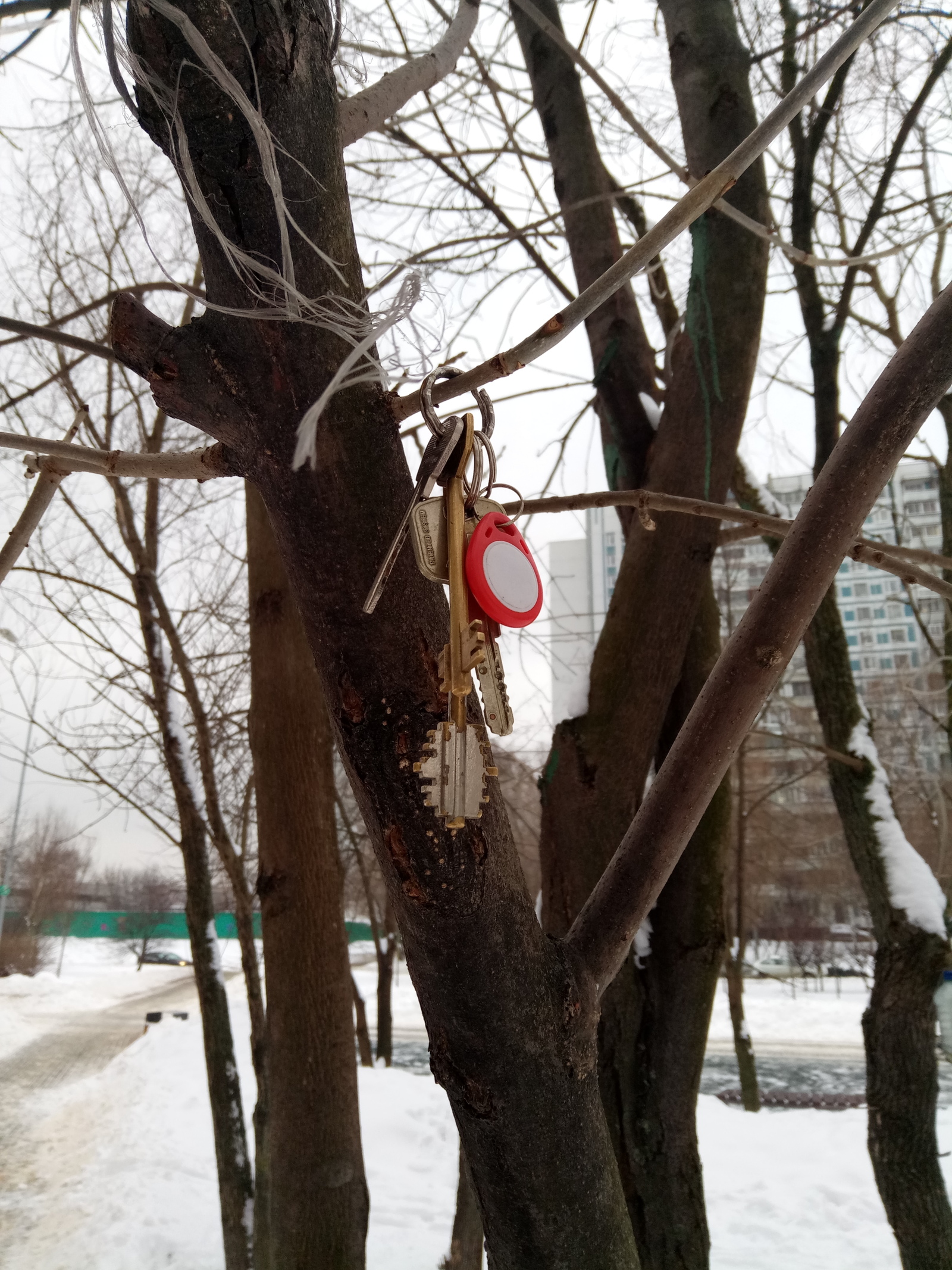 Found Keys. - Lost things, Found, Moscow