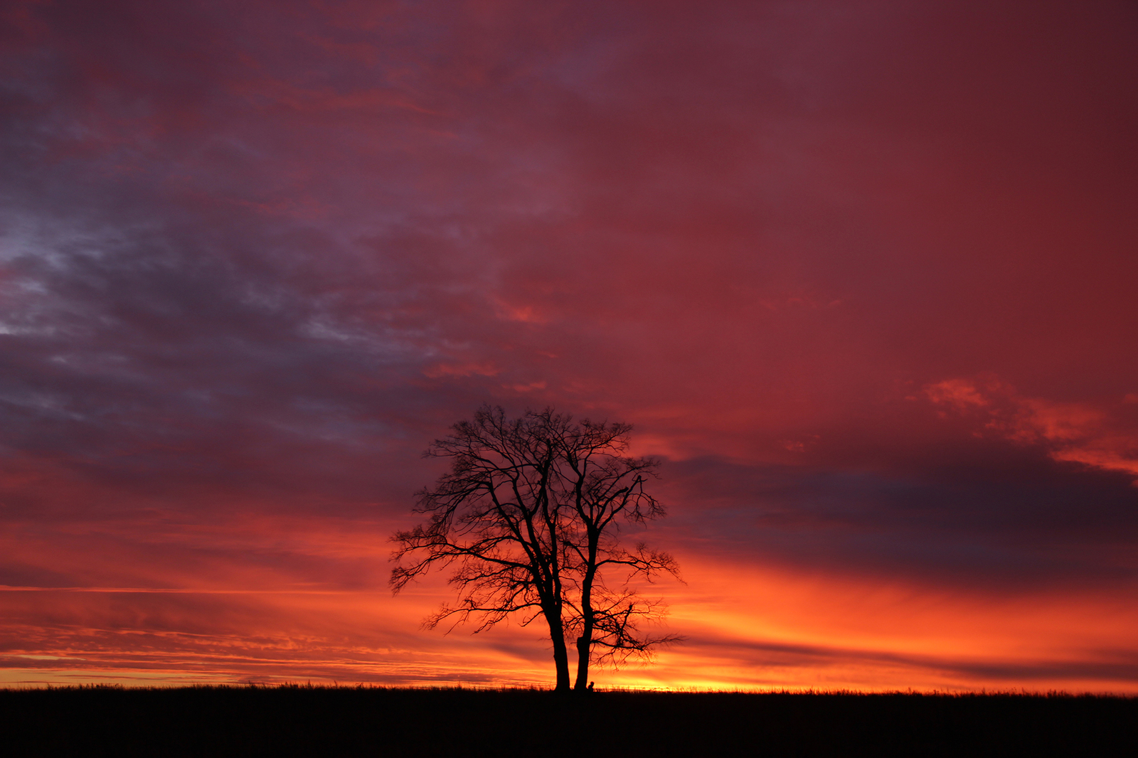 Golden hour at the end of a gray day... - My, Silhouette, Sunset, The photo, Landscape, Longpost