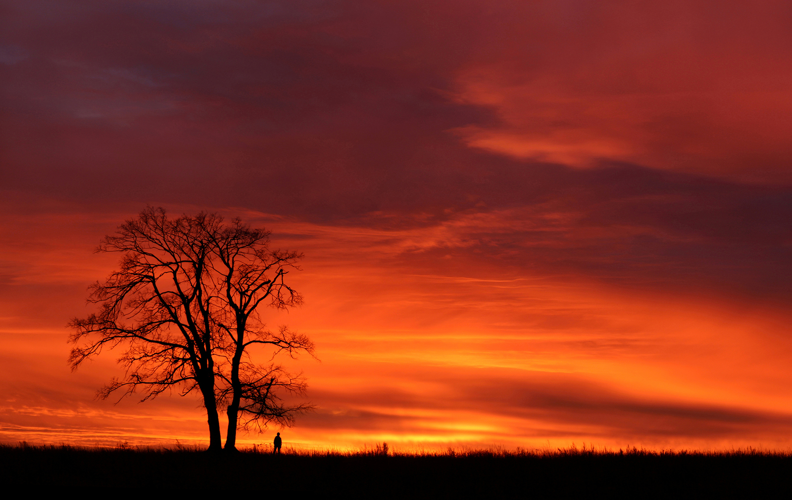 Golden hour at the end of a gray day... - My, Silhouette, Sunset, The photo, Landscape, Longpost