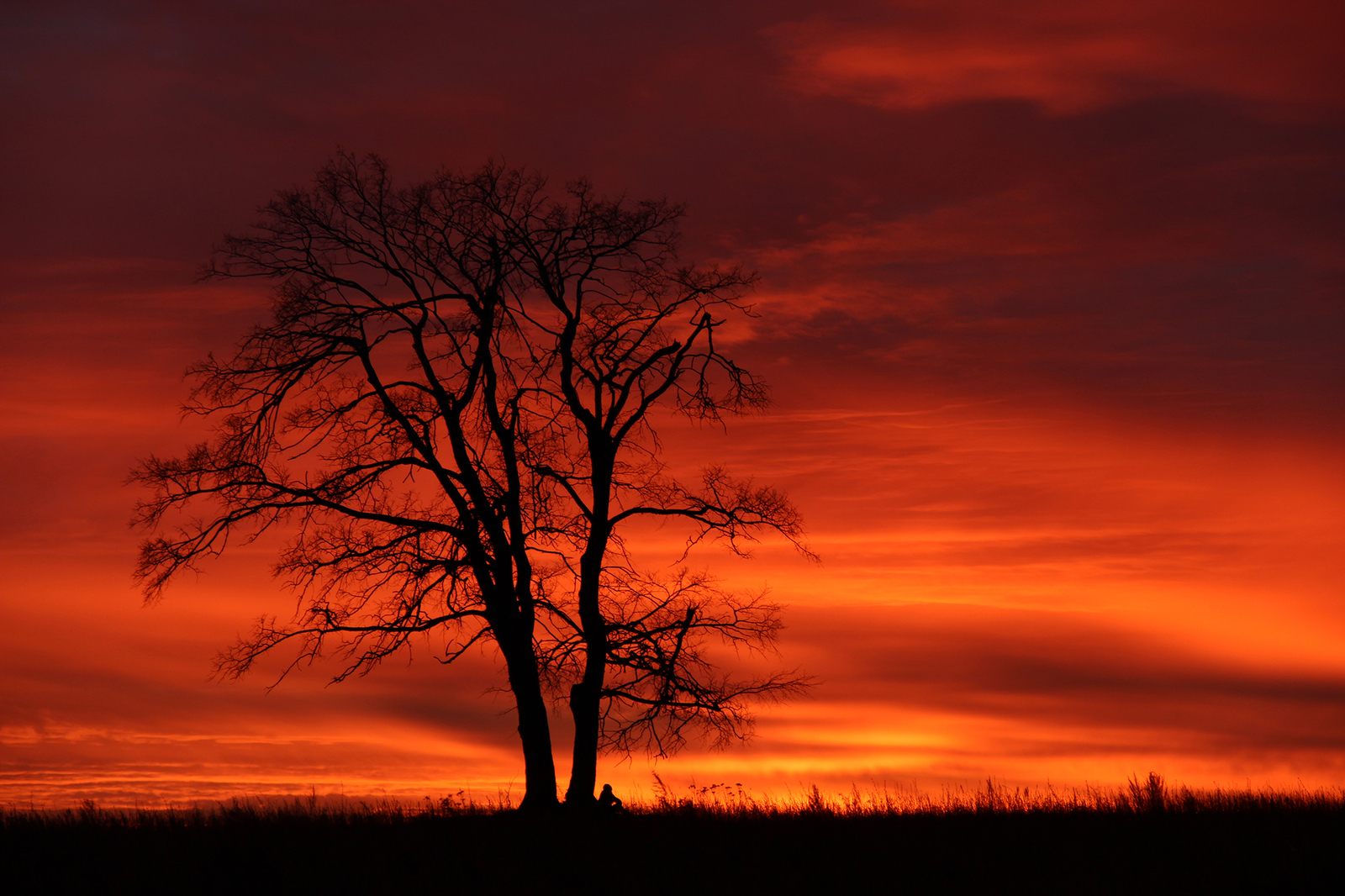 Golden hour at the end of a gray day... - My, Silhouette, Sunset, The photo, Landscape, Longpost