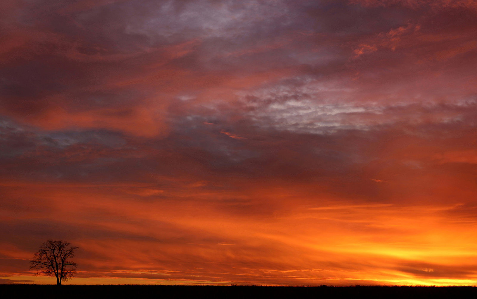 Golden hour at the end of a gray day... - My, Silhouette, Sunset, The photo, Landscape, Longpost