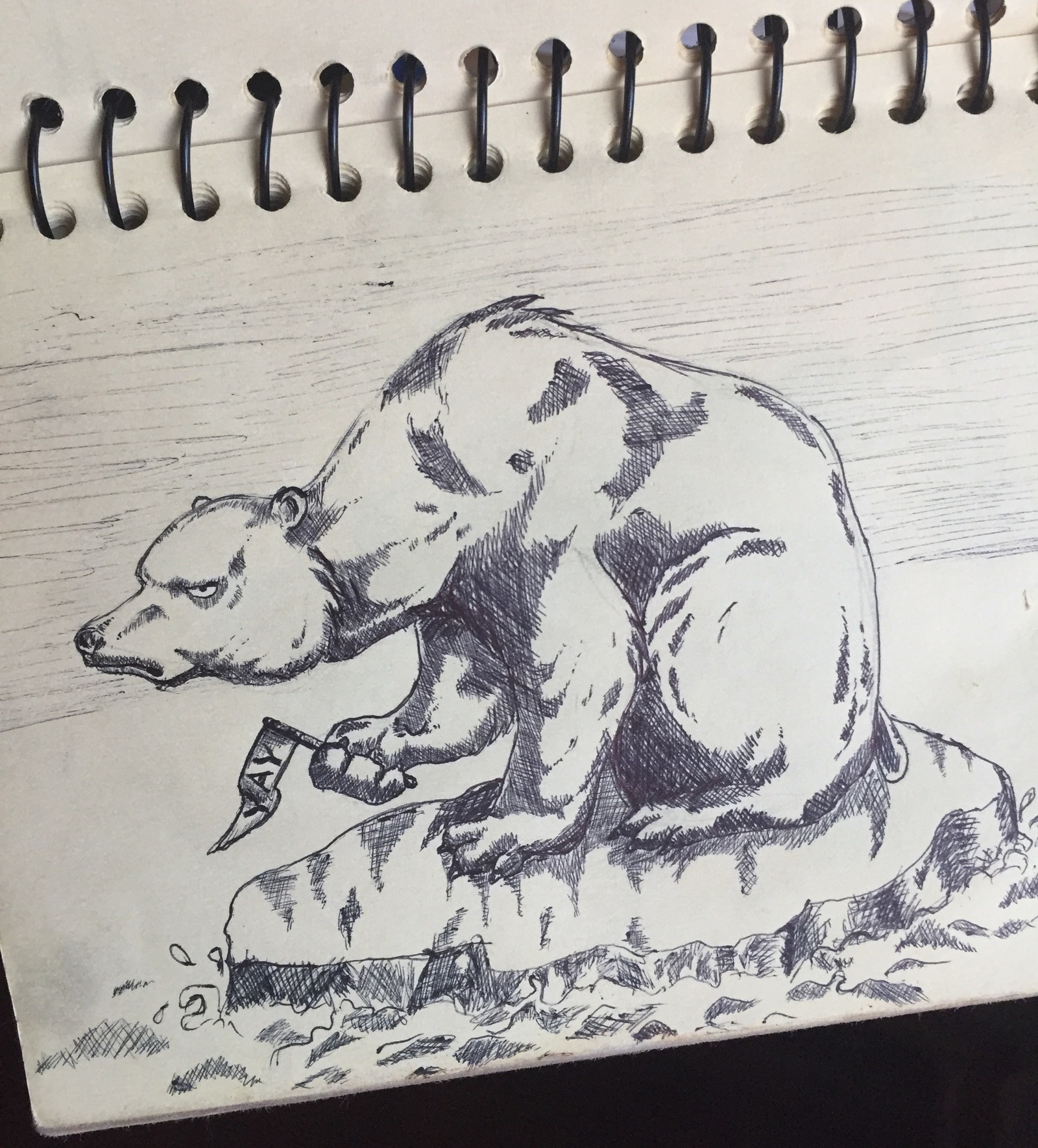 Bear - My, The Bears, Pen drawing