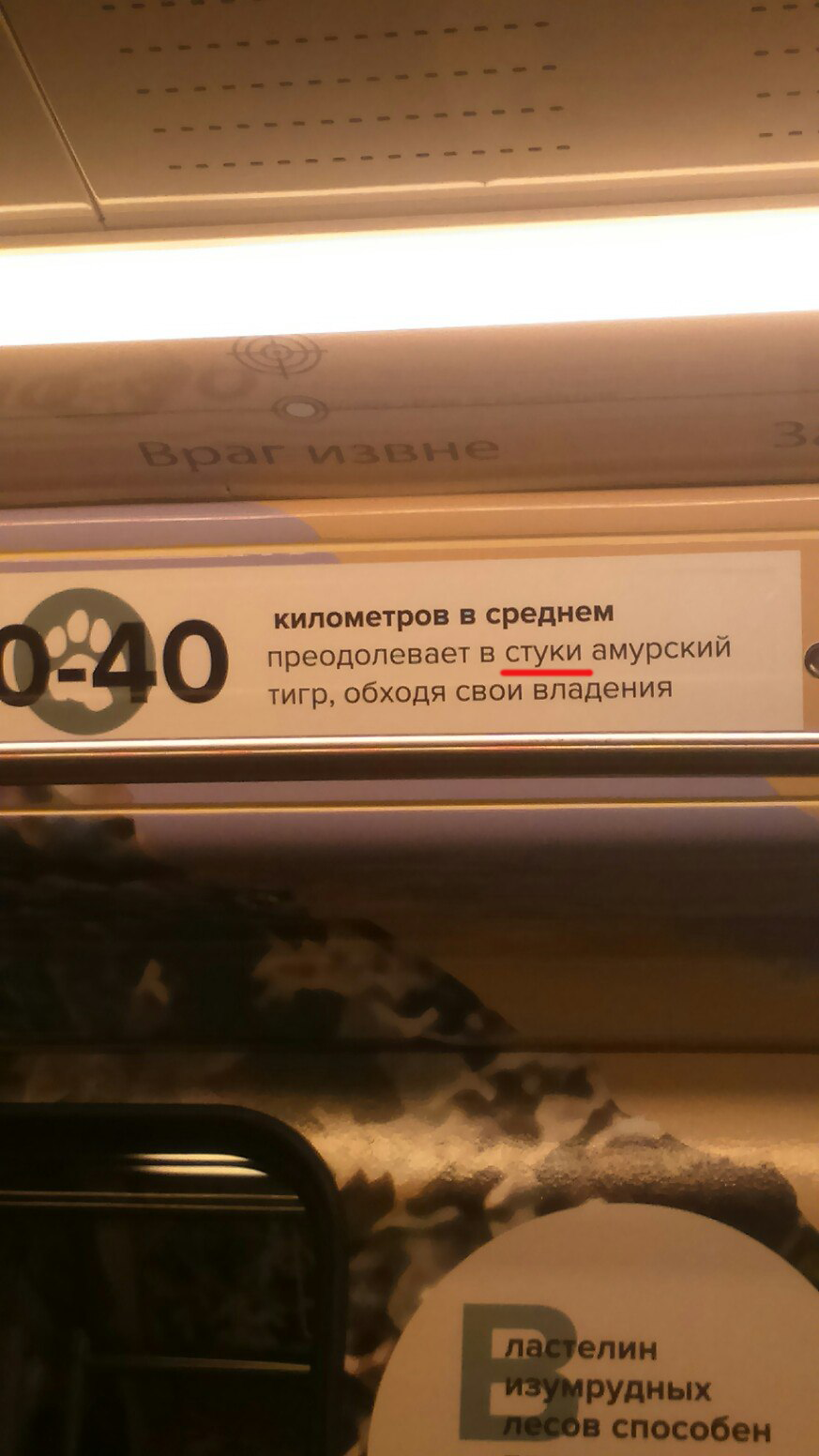 Kilometers to where? - My, Moscow Metro, Humor, Images, My