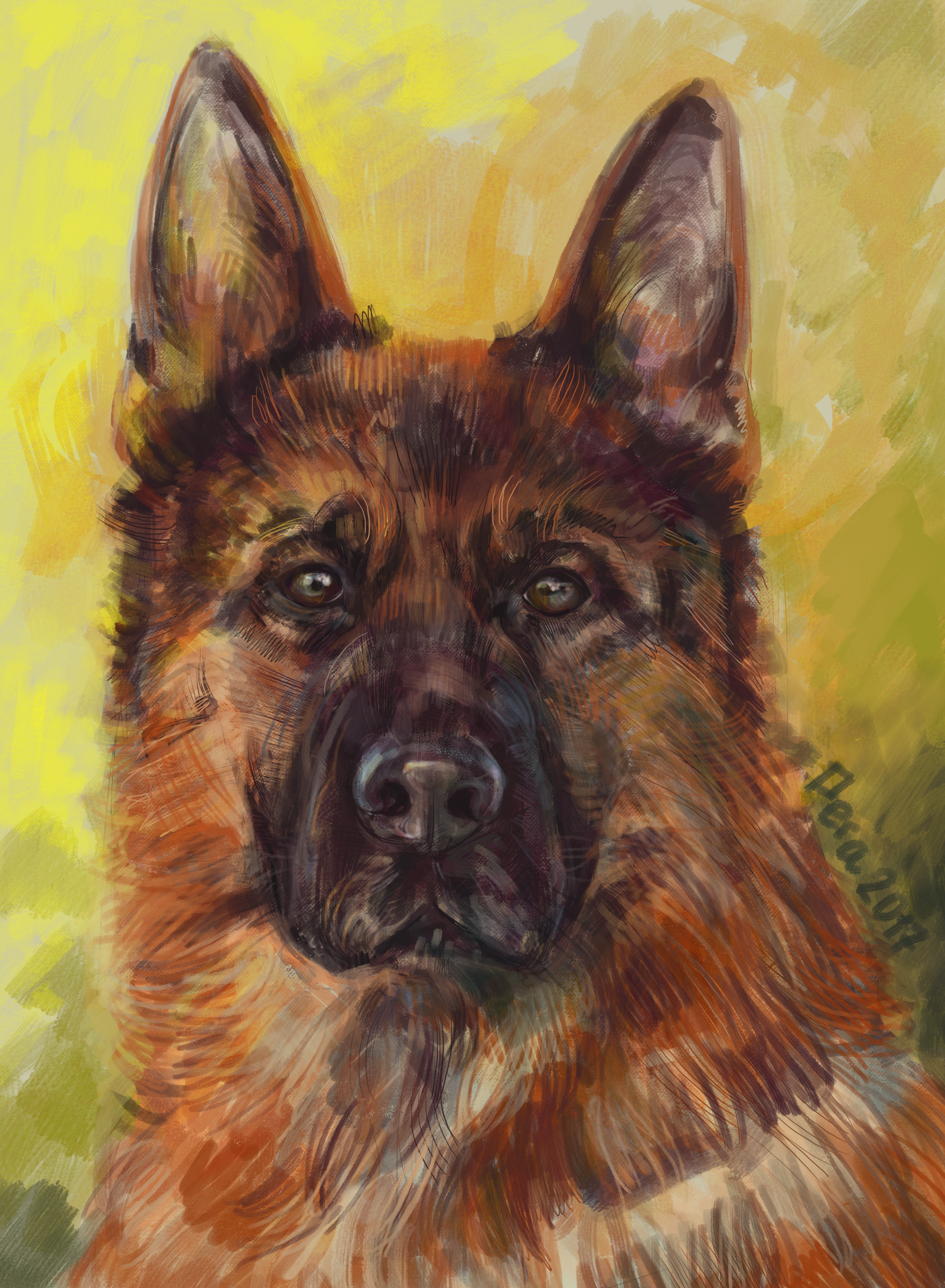 Aufstig Nimbus - My, Photoshop, German Shepherd, Creation