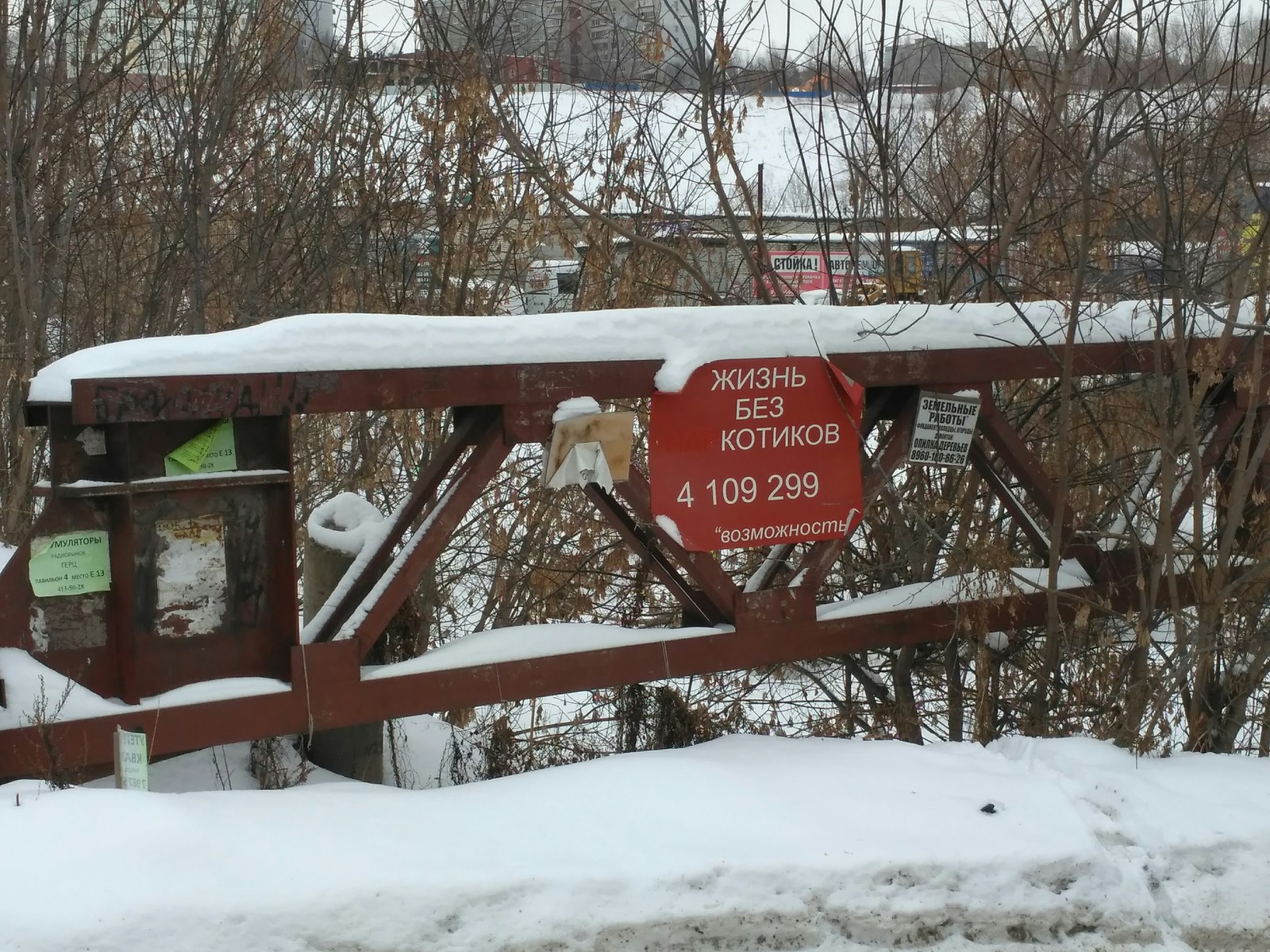 В - возможности. - Кот, Не котики, Объявление, Не фотошоп