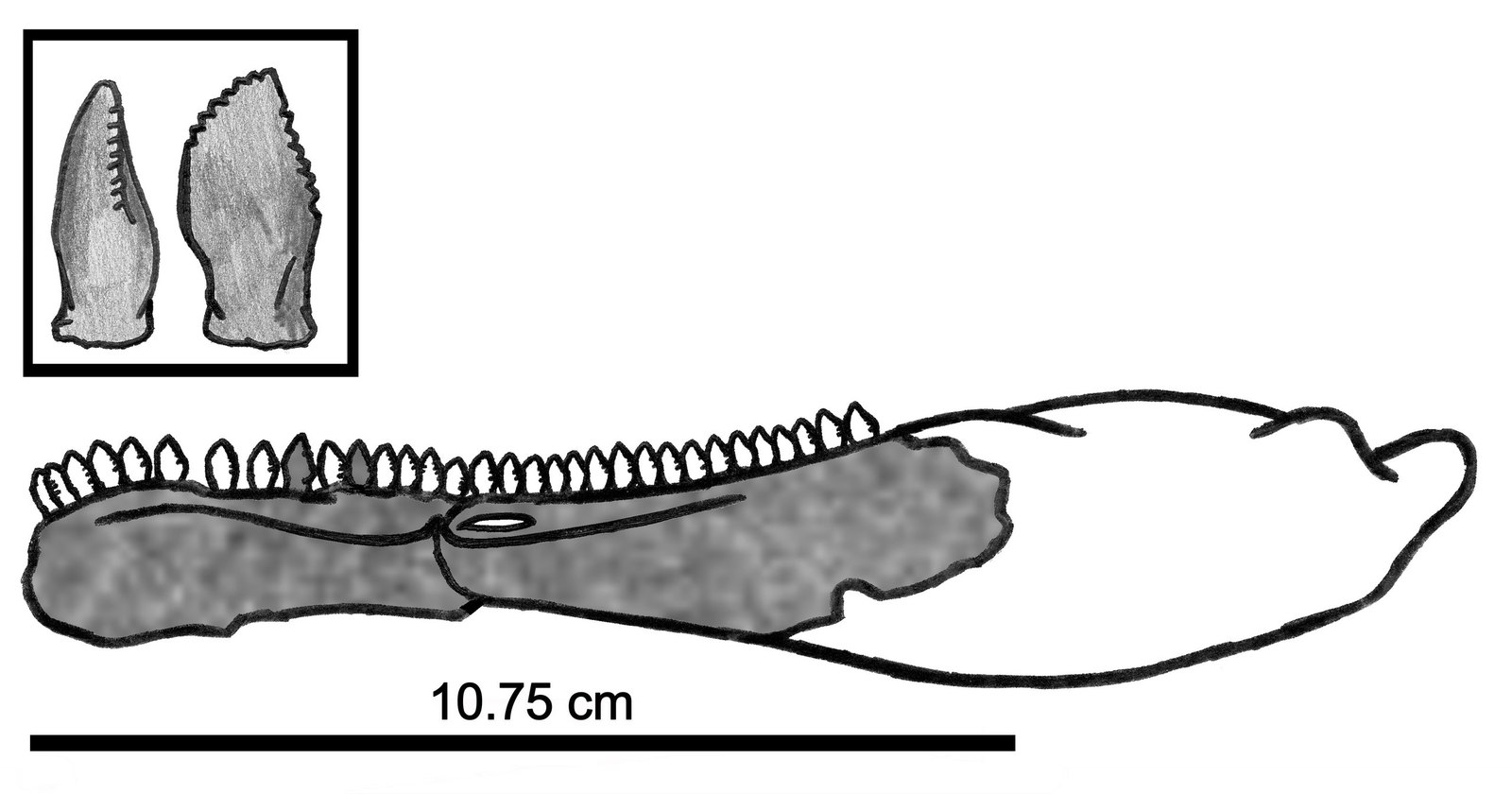 Mowing lizards. - My, Paleontology, Dinosaurs, Therizinosaurus, Mowing, Longpost