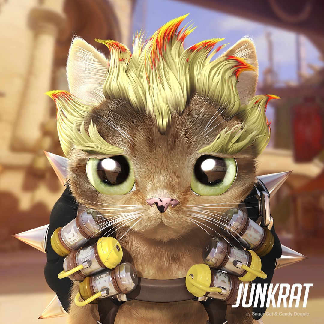 Catwatch - Overwatch, cat, Blizzard, Longpost