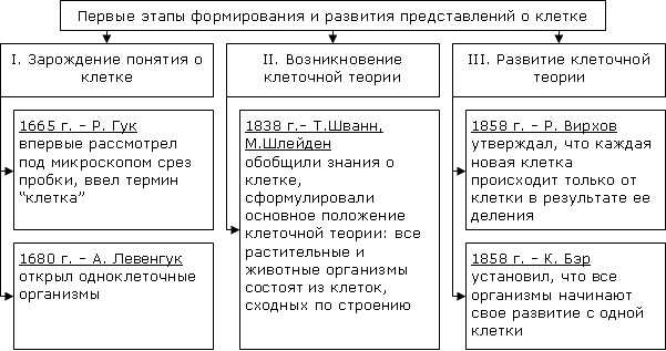 Биологическое строение Солнечной системы - Человек, Земля, Солнце, Альфред Вегенер, Пангея, Живая неорганика, Длиннопост