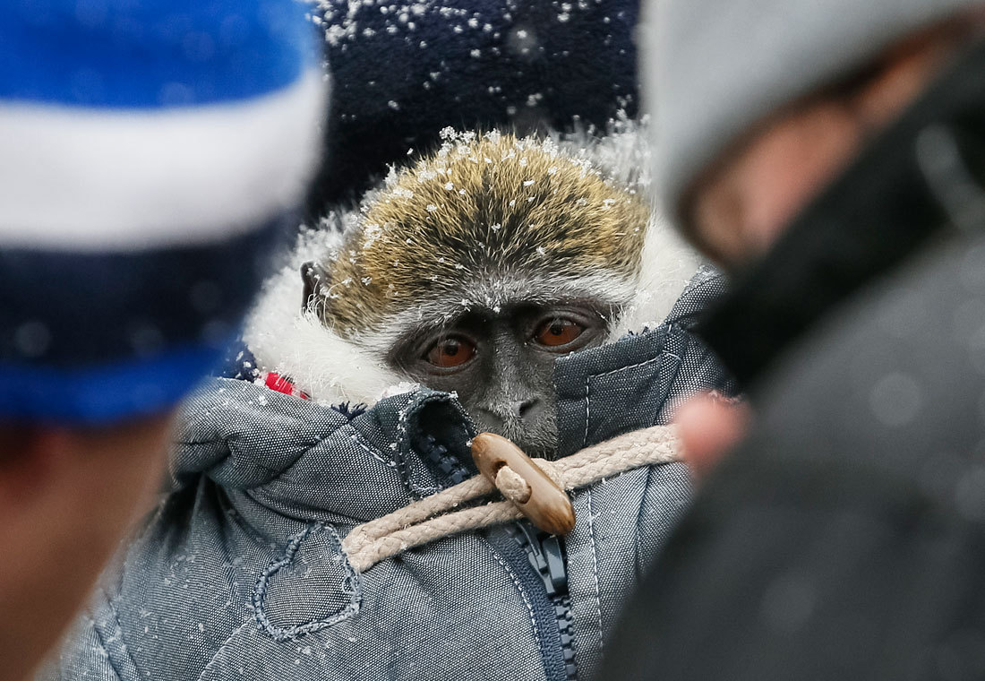 Похолодало | Пикабу
