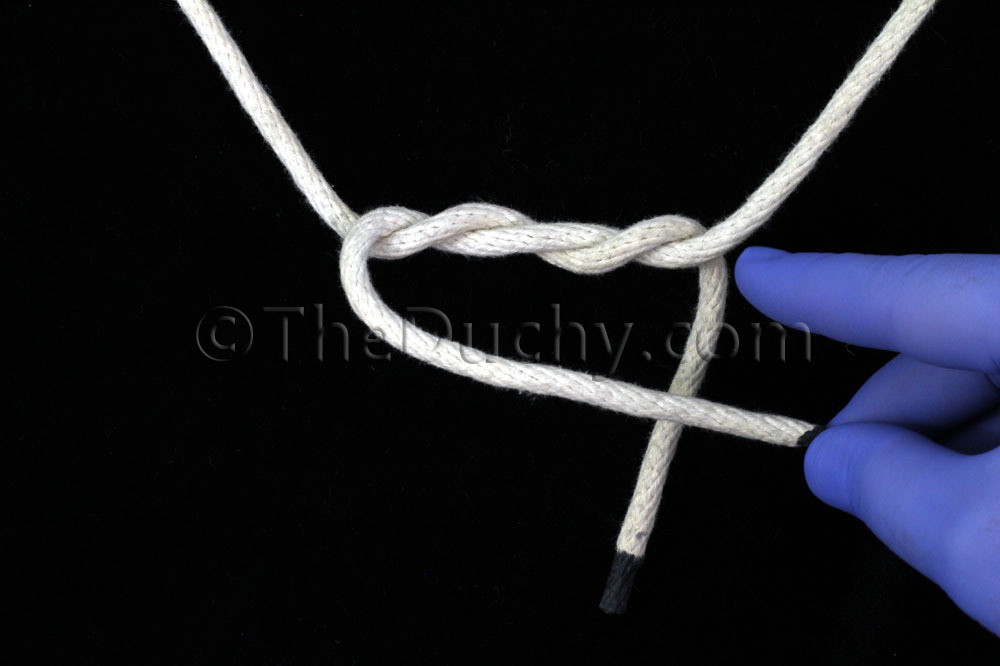 A few more knots. - NSFW, Knot, , , , , , Copy-paste, GIF, Video, Longpost