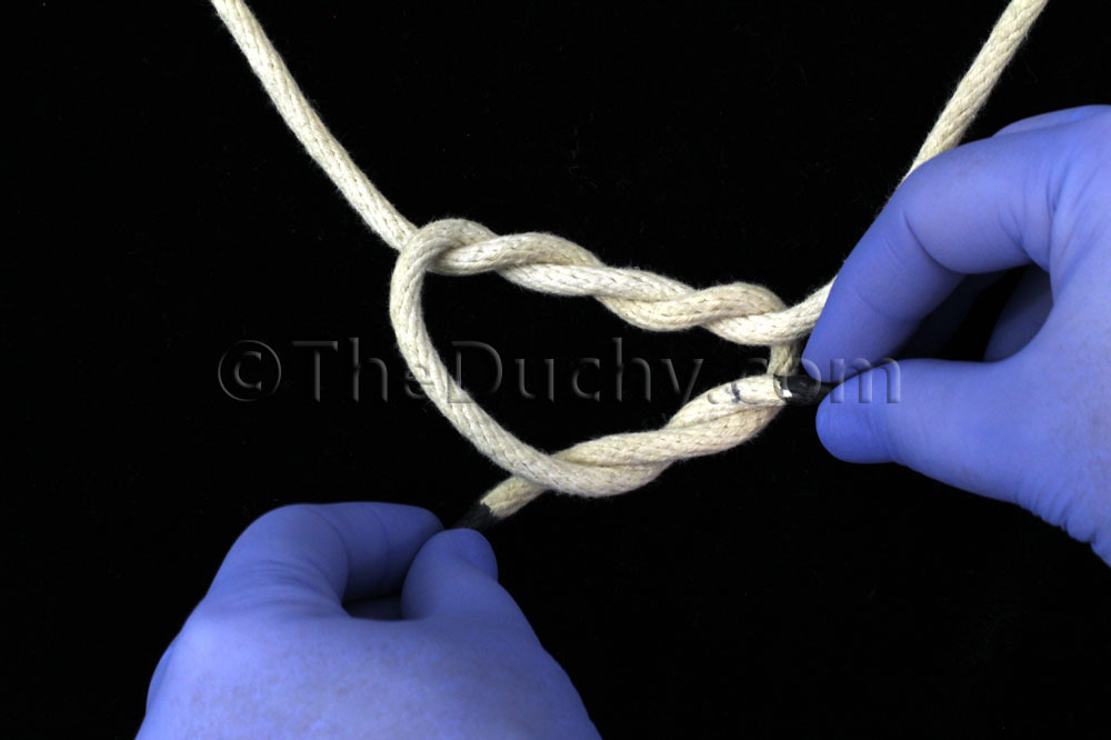 A few more knots. - NSFW, Knot, , , , , , Copy-paste, GIF, Video, Longpost