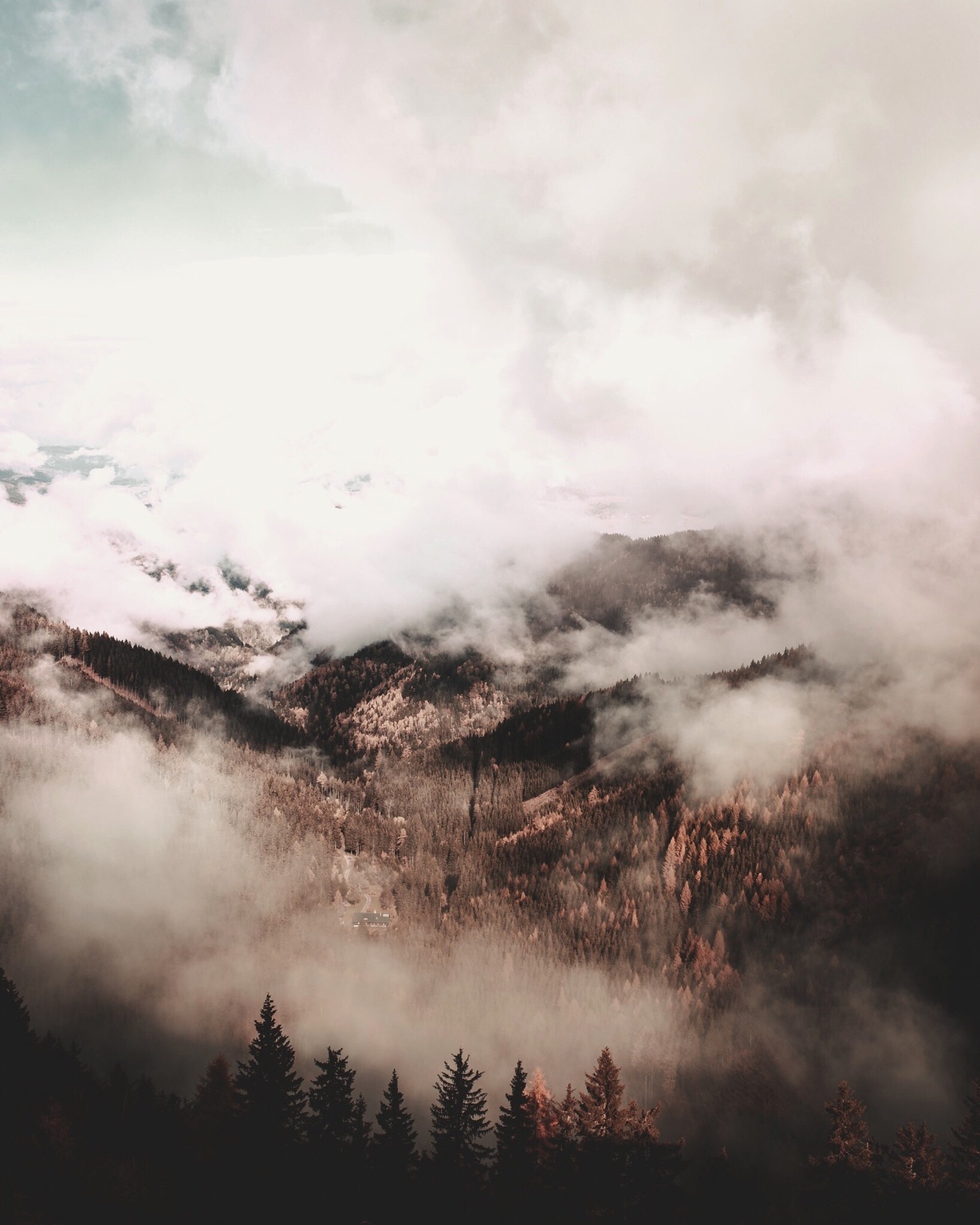 Foggy morning. - Photo, Austria, The mountains, Fog