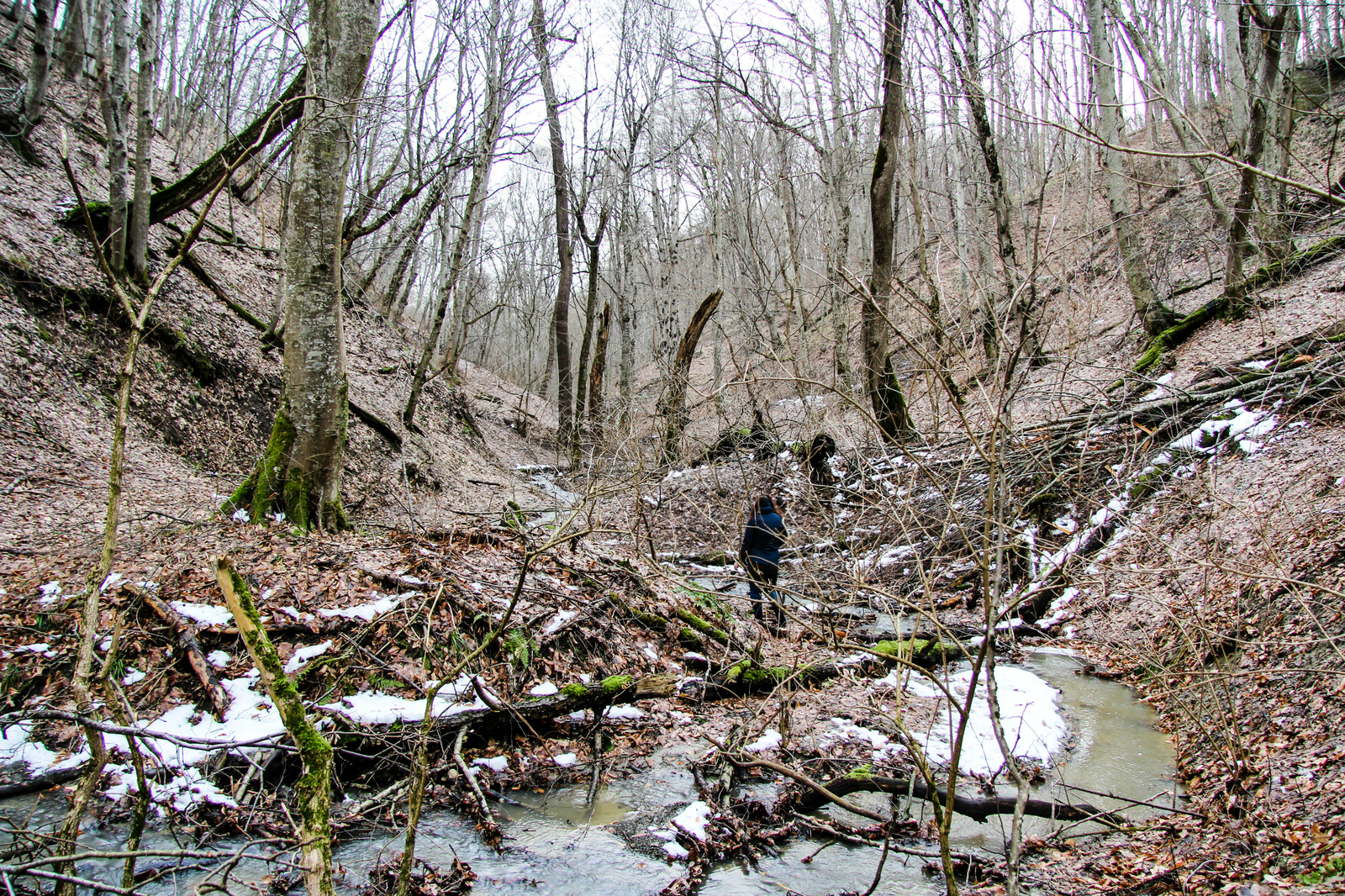 New Year's adventures of a good-for-nothing hiker: Gorge Hospital slot in Goryachiy Klyuch. - My, Hot Key, Gorge, , Краснодарский Край, Russia, Travels, Tourism, New Years holidays, Longpost