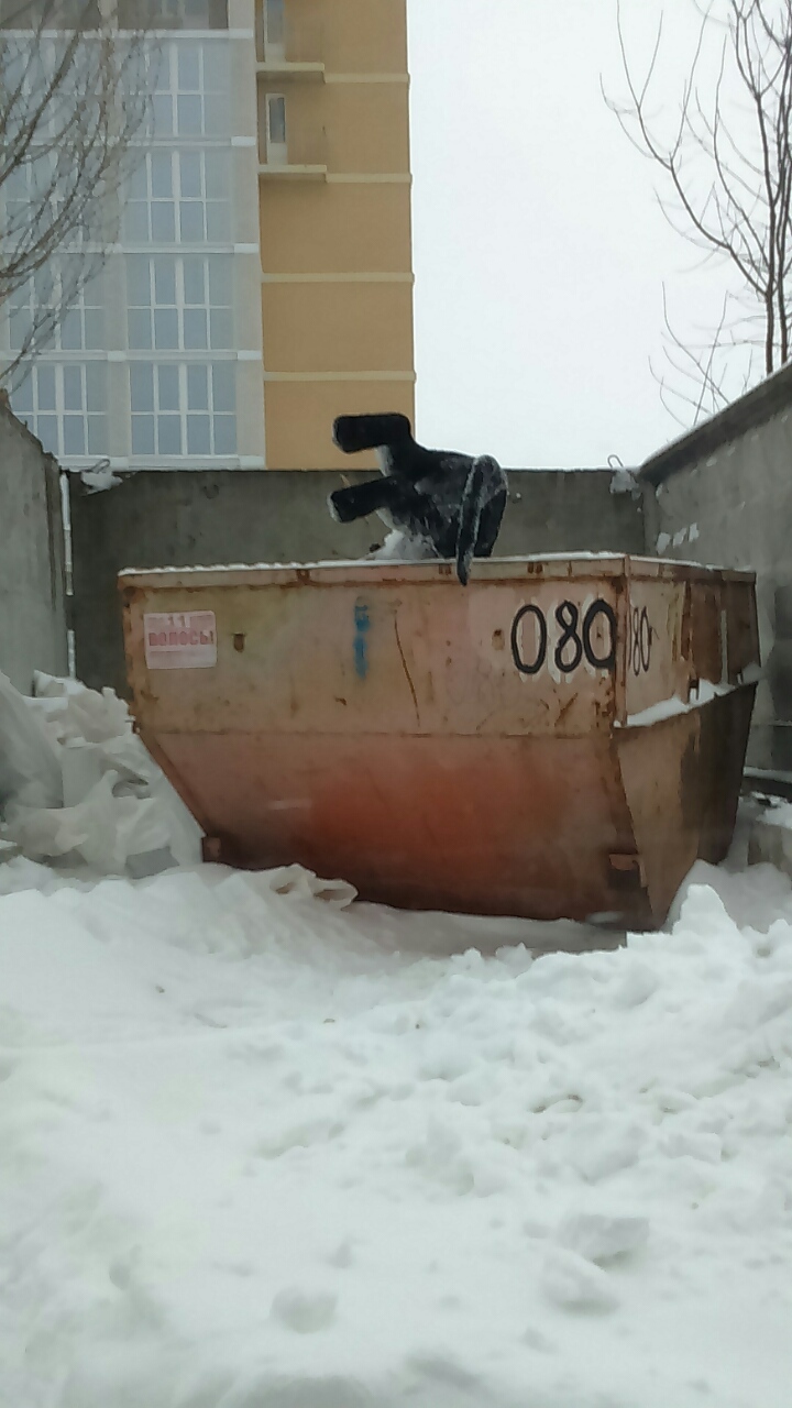 Usually Christmas trees are thrown away after New Year's Eve, but here... what is it? - My, Garbage, Animals, Amazing, Paws