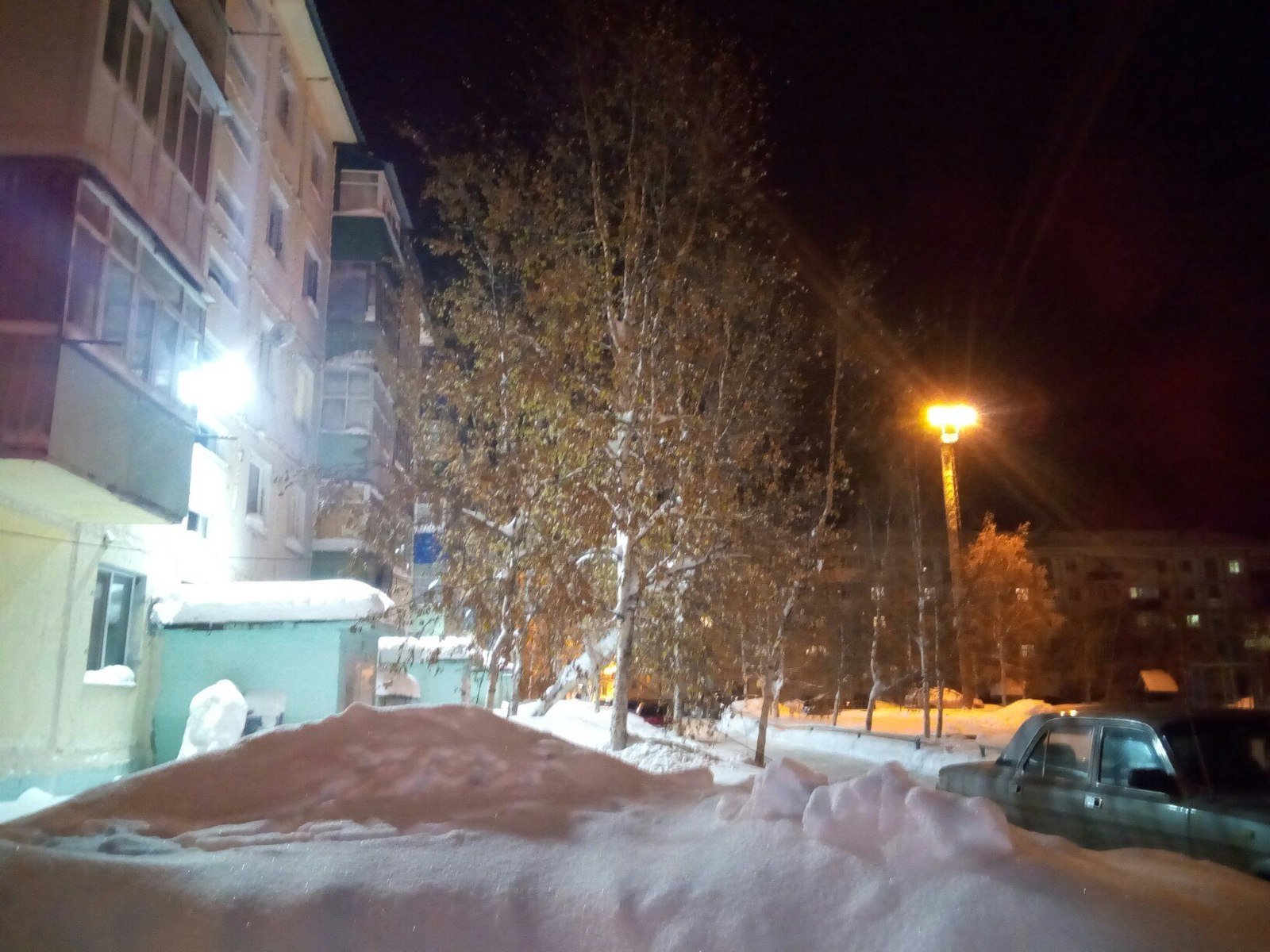 And they don't care that it's winter - My, Tree, Snow, Siberia, Russia