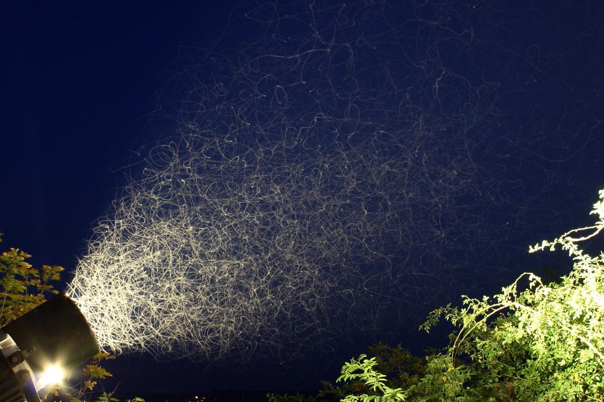 Light, mosquitoes and long exposure - Photo, Summer, Night, Mosquitoes, Reddit