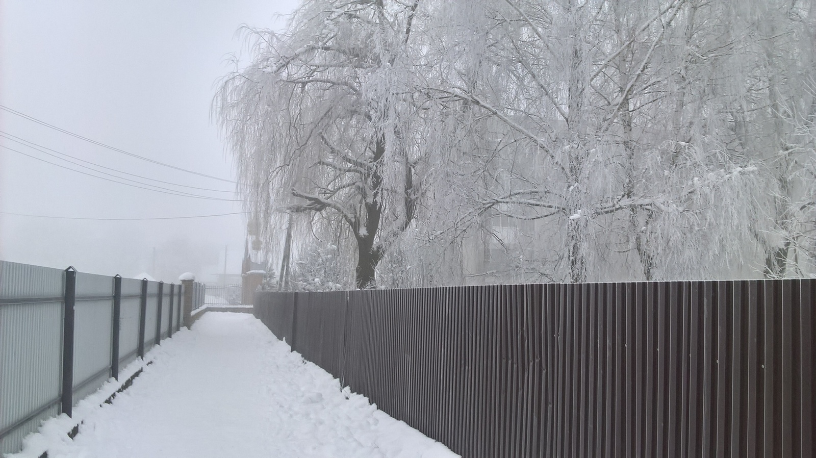 Зима, Ковель - Ковель, Зима, Красивое, Фото на тапок, Длиннопост