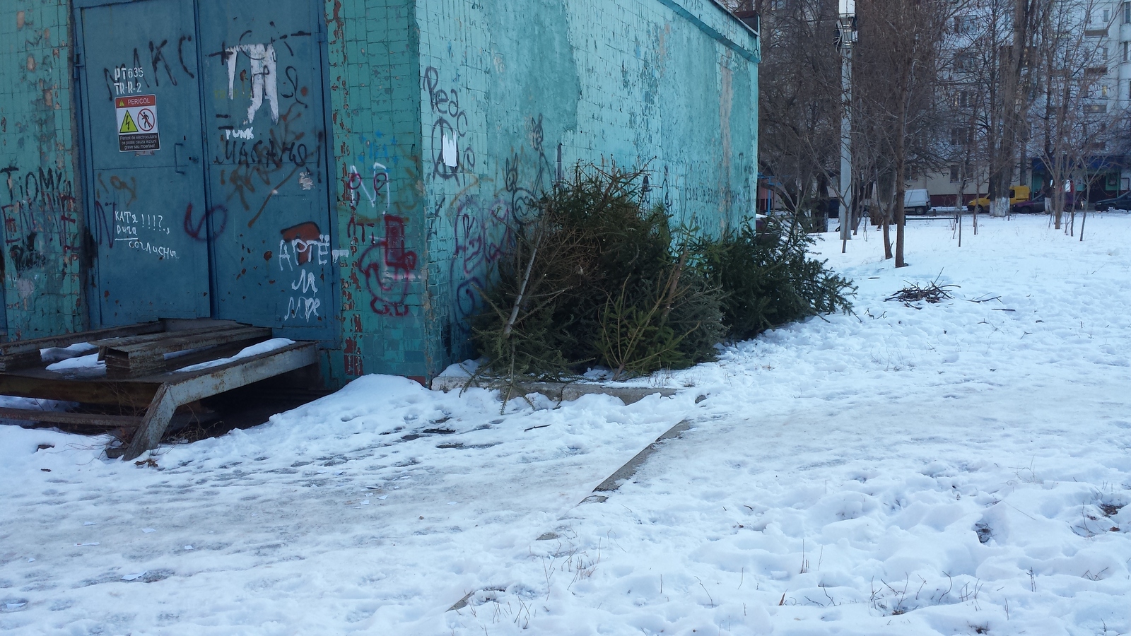 Cemetery of domestic Christmas trees ... - My, Winter, Herd instinct, End