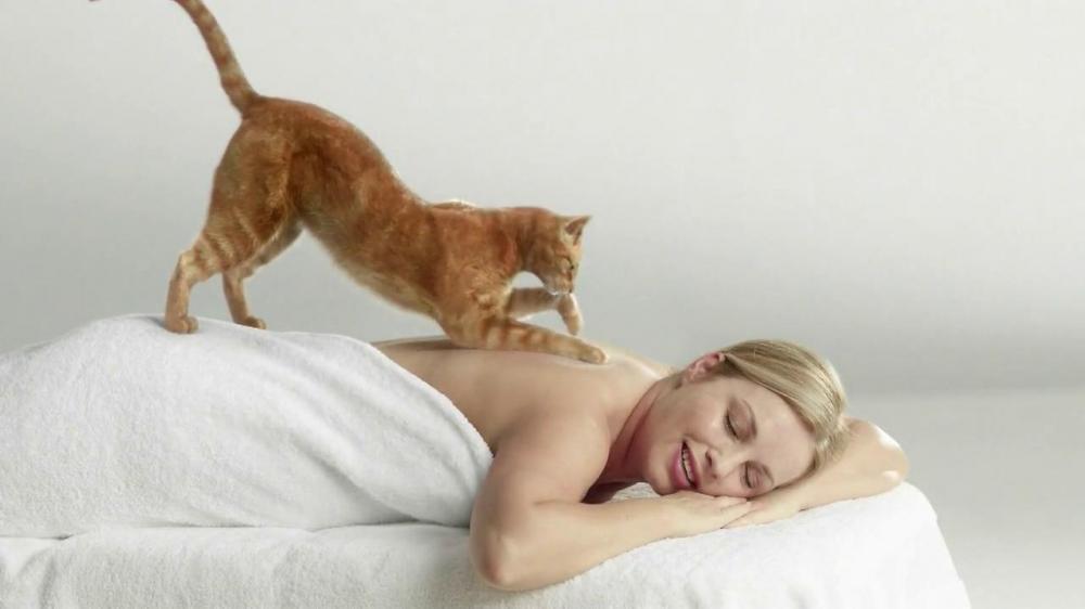 The masseur cat lives in Voronezh with masseur Alexander Alekseev - cat, Massage, Books