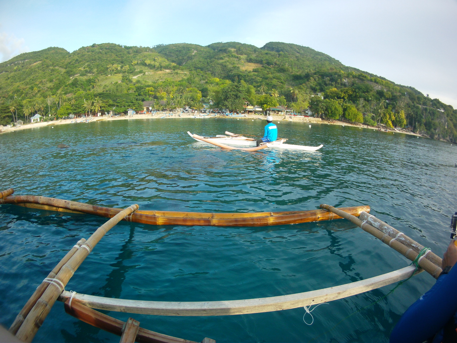 Philippines. - My, Shark, Whale shark, Philippines, Vacation, Longpost