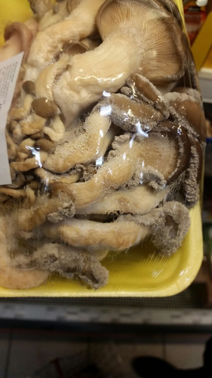 Mushrooms grow on mushrooms .... therefore, the shelf life is not limited - My, Mushrooms, , Longpost, Moldy stuff