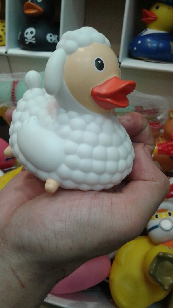 Duck for van...Wait...WUT?? - My, Duck, Cow, Sheeps, Toys, Hybrid, What are you, , Longpost