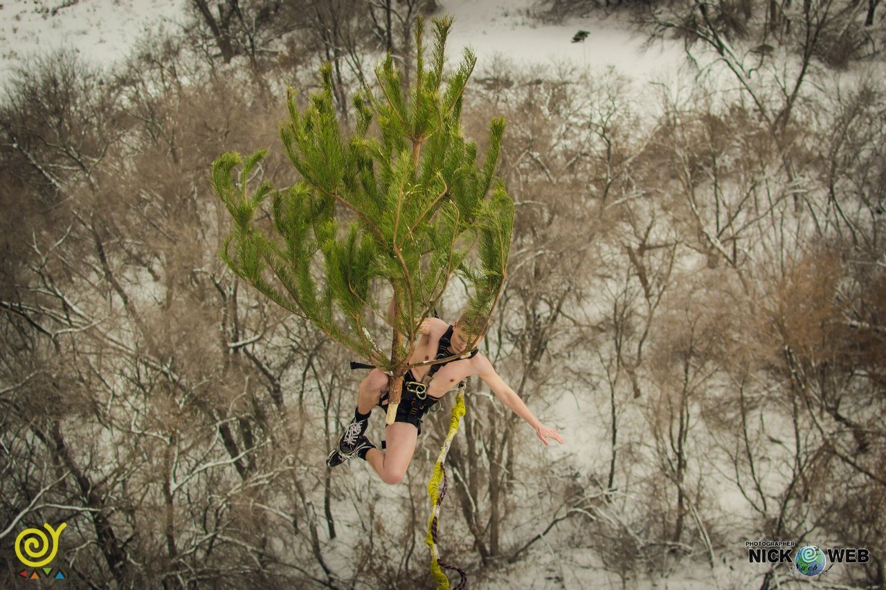 I don't know why I'm doing this, but I've been doing it for 5 years!) - My, Why, Christmas trees, Extreme, Rope jumping, Fun, Traditions, 2017, New Year, Longpost