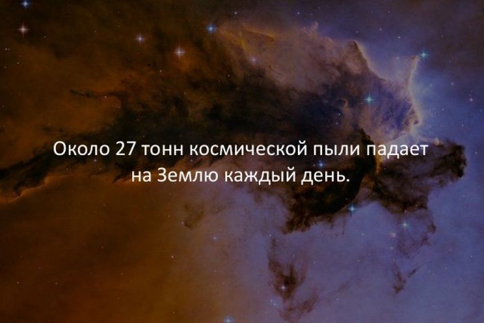 Интересные факты в картинках от ПАНДА за 12 октября на adm-yabl.ru