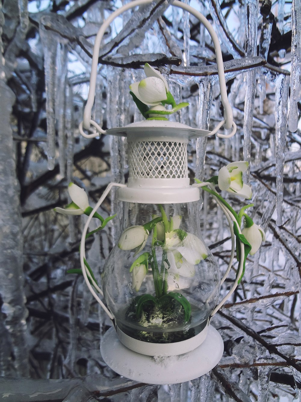 Lantern with snowdrops - My, Polymer clay, Ceramic floristry, My, Snowdrops, Polymer floristry, Flashlight, Friday, Longpost, Snowdrops flowers