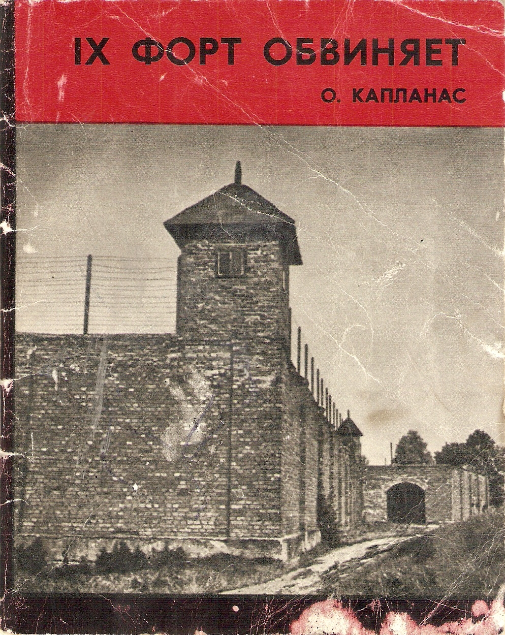 IX Fort accuses! - My, Lithuania, Kaunas, Memory, Concentration camp, Longpost