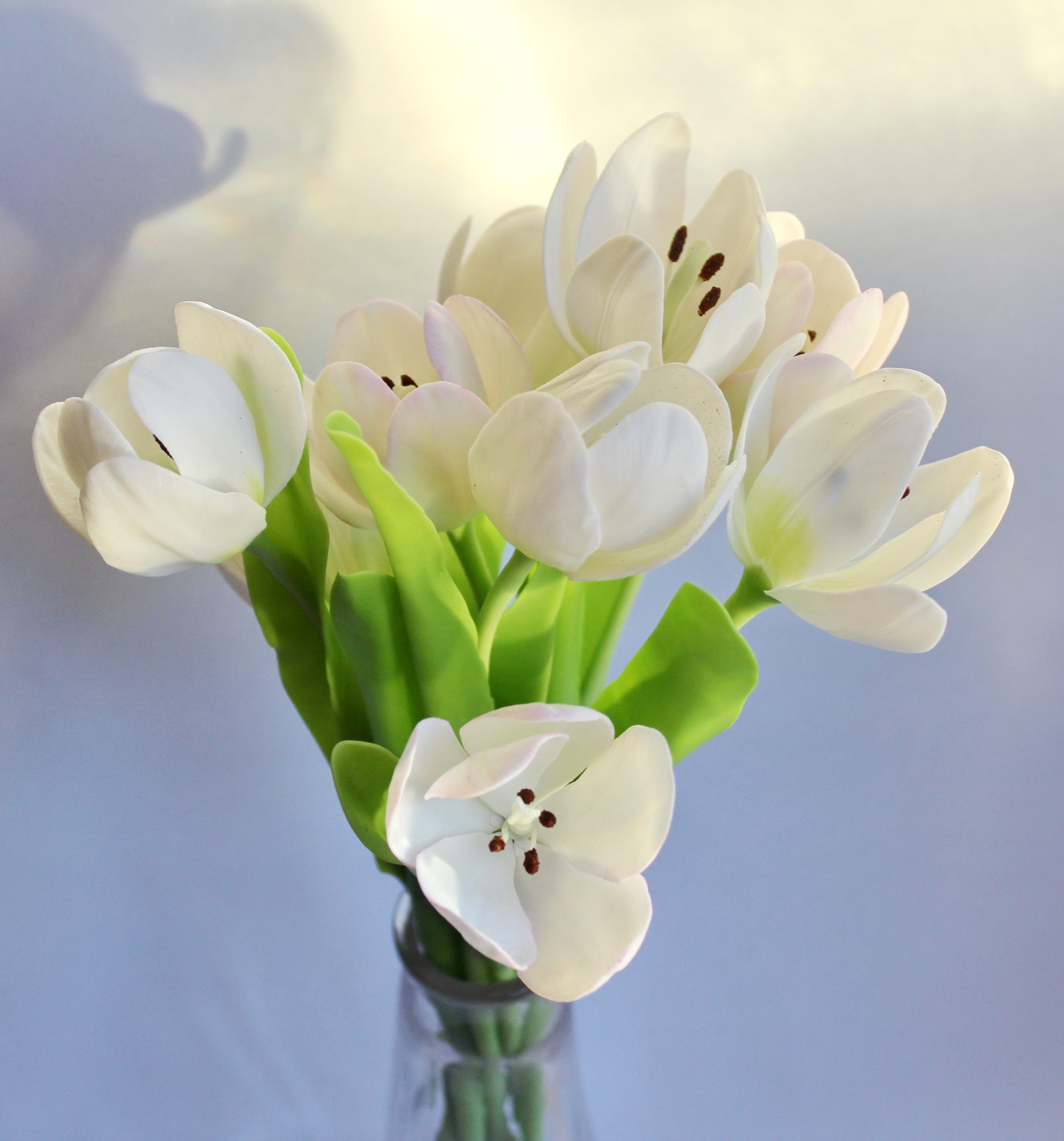 Tulips - My, Tulips, Лепка, Polymer floristry