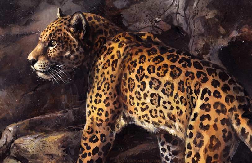 Art by kenket. Leopards and leopards. [deviant art] - Deviantart, Art, Leopard, Leopard, cat, Animals, Longpost, Kenket, A selection