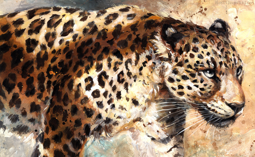 Art by kenket. Leopards and leopards. [deviant art] - Deviantart, Art, Leopard, Leopard, cat, Animals, Longpost, Kenket, A selection