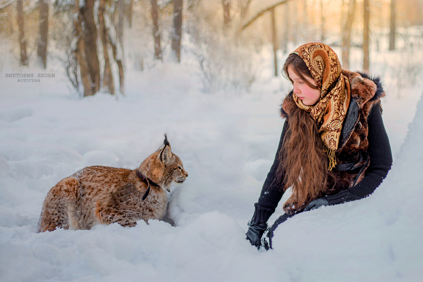 LYNX JASPER at a photo shoot. - My, PHOTOSESSION, Girl, Children, Snow, Lynx, Longpost