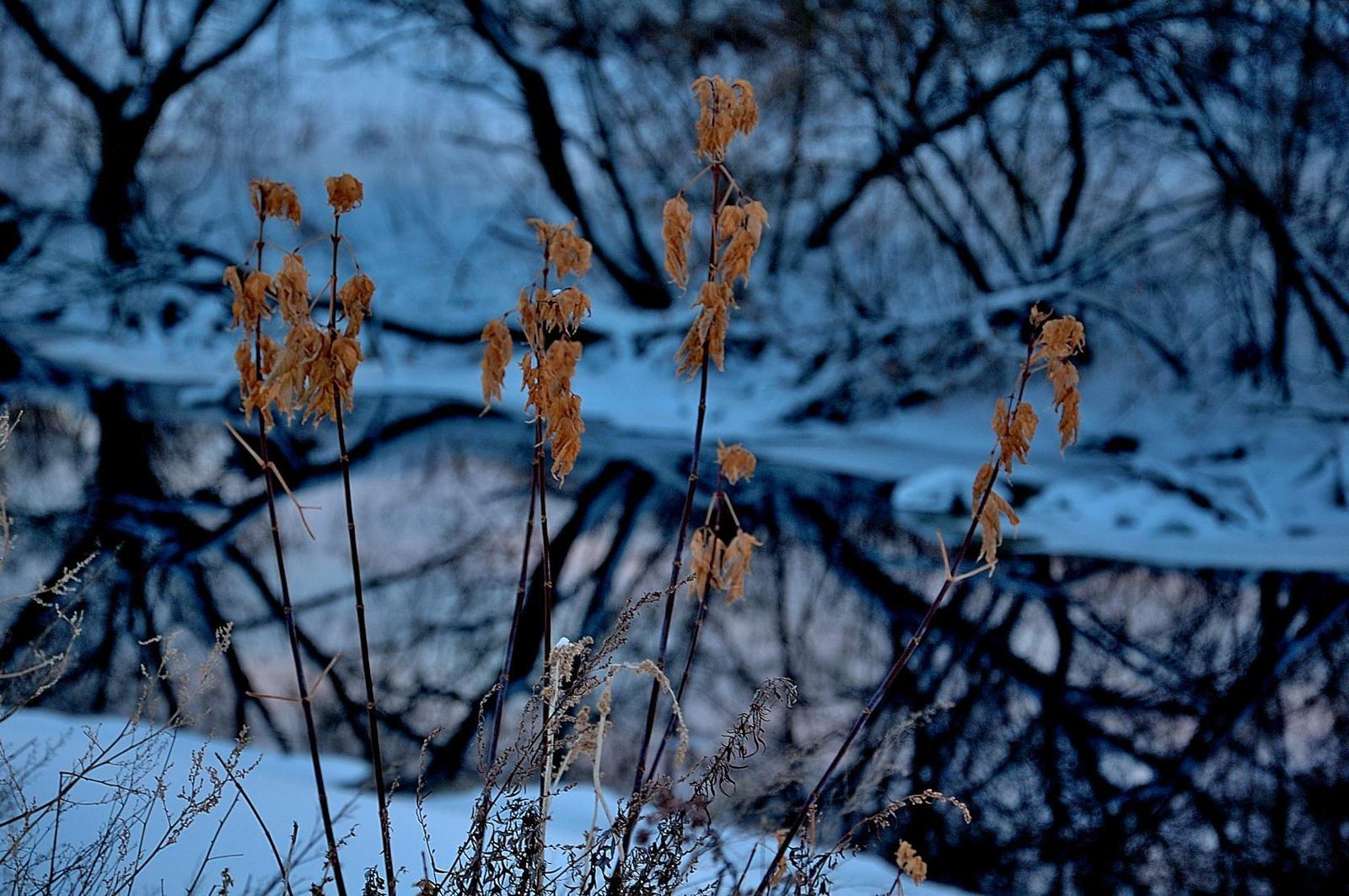 Where did winter come from... - Not mine, Photo, Winter, Sunset, Longpost