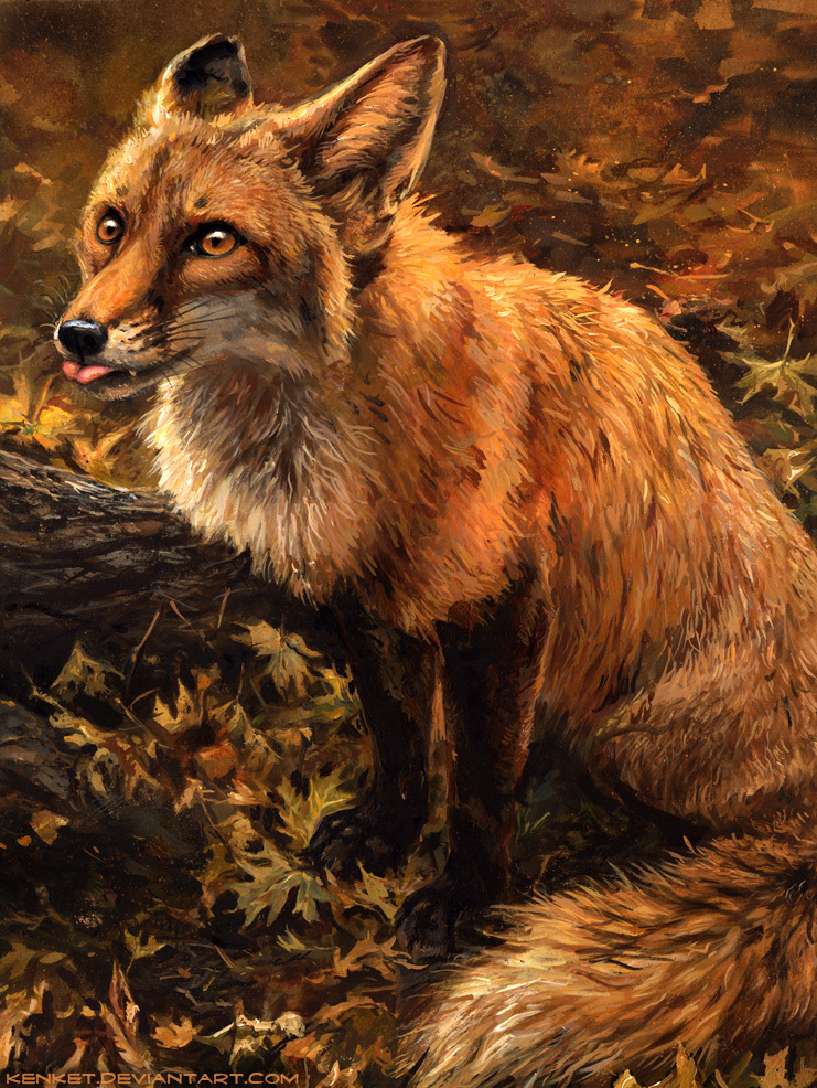 Art by kenket. Foxes. [deviant art] - Deviantart, Art, Fox, Animals, Longpost, A selection, Kenket