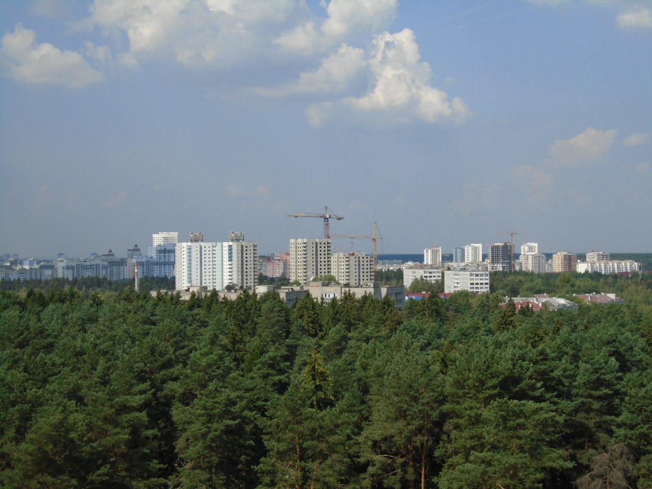 Outskirts of Minsk - My, Building, Forest