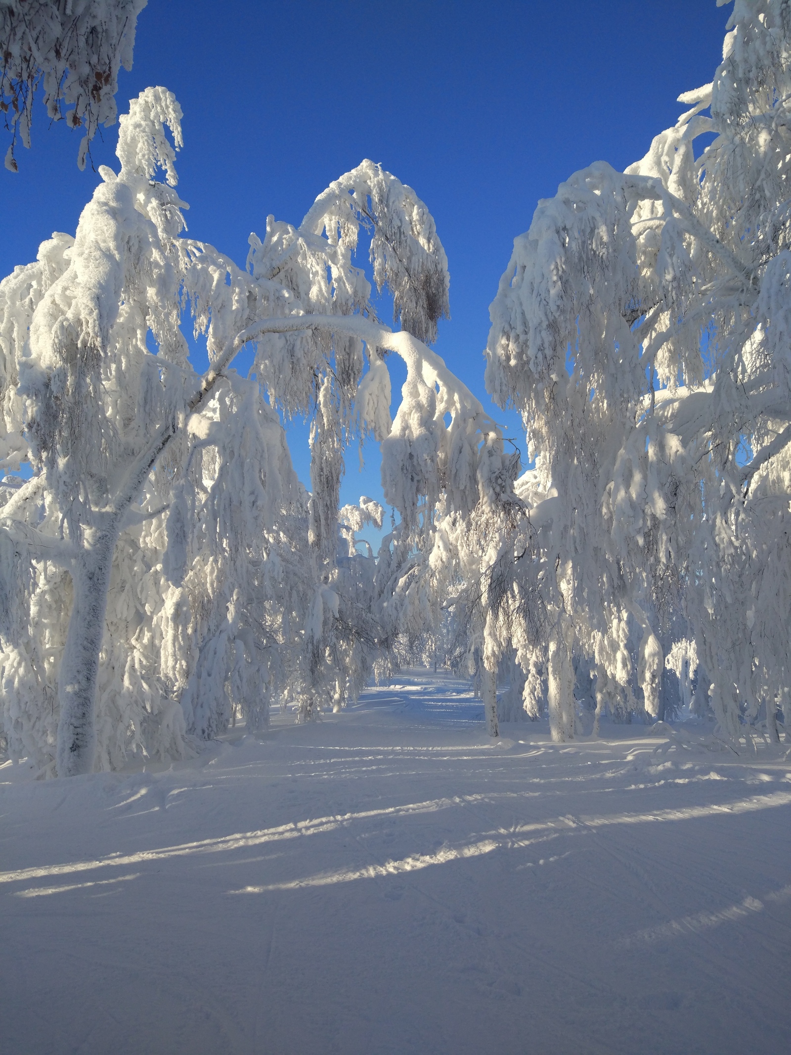 The beauty of Adzhigardak ski resort of the mountain range of the same name - My, , Glk Adjigardak, , Longpost